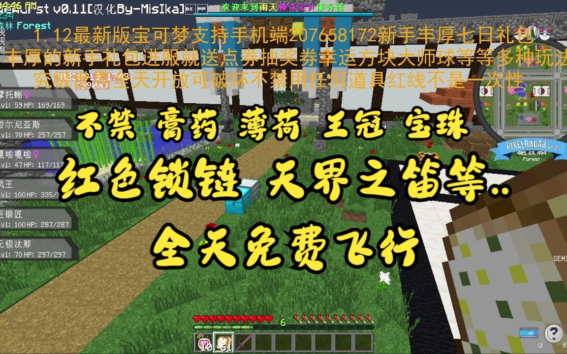 包含我的世界神奇宝贝幻云服务器权限怎么获得的词条，我的世界神奇宝贝幻云服务器权限获取攻略，我的世界神奇宝贝幻云服务器权限获取攻略，详解如何获得服务器权限，我的世界神奇宝贝幻云服务器权限获取详解，攻略与步骤 第2张