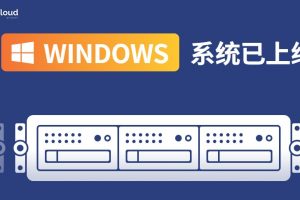 云服务器ssl(云服务器ssd盘)，云服务器SSL与SSD盘探讨