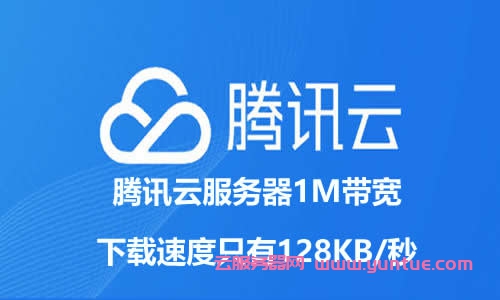买了云服务器了能下载东西(买了云服务器怎么在自己电脑使用)，云服务器购买后的下载使用指南，如何在自己电脑上使用云服务器进行下载？ 第2张