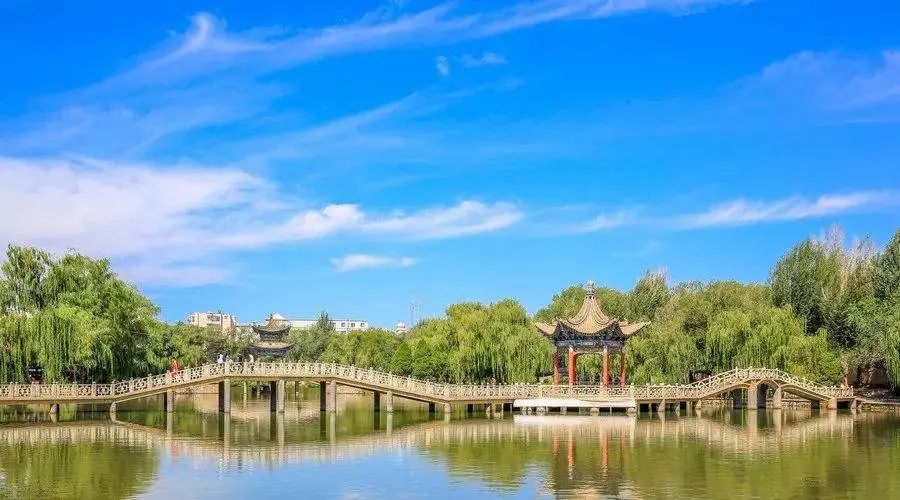 张掖云服务器(38号女神节背景图片)，张掖云服务器女神节背景图片揭晓，庆祝女神节，感受科技与美的融合，张掖云服务器女神节背景图片，科技与美的融合庆典揭晓