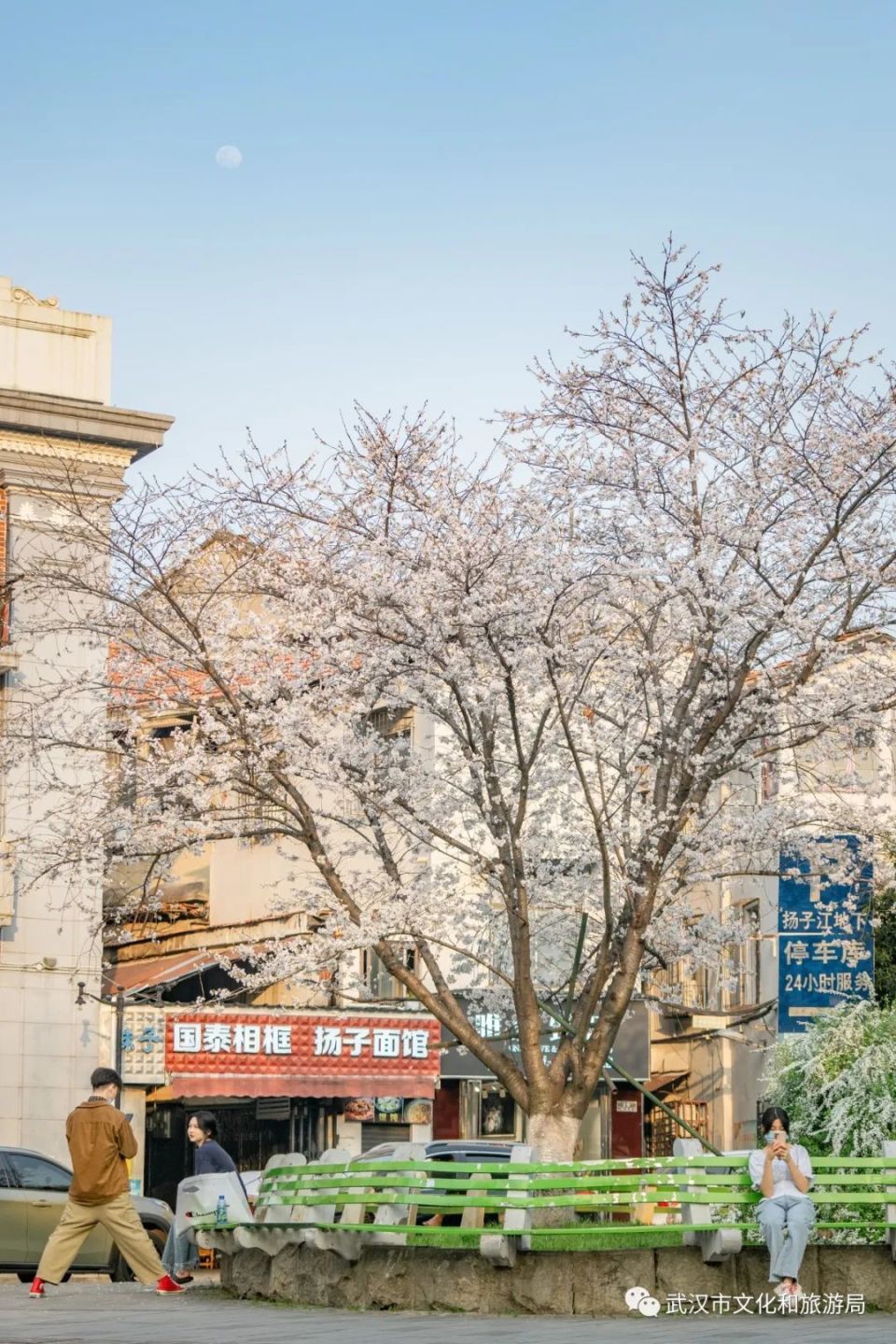 包含樱花云服务器免费网站大黄免费入口羞羞答答的词条，关于樱花云服务器免费网站羞羞答答内容的警示提醒，樱花云服务器免费网站警示提醒，羞羞答答内容涉黄风险警告，（注，该标题旨在警示用户关于樱花云服务器免费网站中羞羞答答内容的涉黄风险，提醒用户避免访问不良内容。），樱花云服务器免费网站羞羞答答内容涉黄风险警告，请用户警惕并避免访问不良内容，樱花云服务器免费网站羞羞答答内容涉黄风险警告，警惕不良内容，避免访问风险