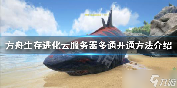 易娱云方舟服务器设置密码是什么(易娱云方舟服务器设置密码是什么意思)，易娱云方舟服务器密码设置详解及意义，易娱云方舟服务器密码设置详解，步骤与意义探究，易娱云方舟服务器密码设置详解，步骤、意义及密码含义全面解析，易娱云方舟服务器密码设置详解，步骤、意义及密码含义全面解析，易娱云方舟服务器密码设置详解，步骤、意义及密码含义全面解析，易娱云方舟服务器密码设置详解，步骤、意义及密码含义全面解析，易娱云方舟服务器密码设置步骤解析及密码含义与重要性探讨