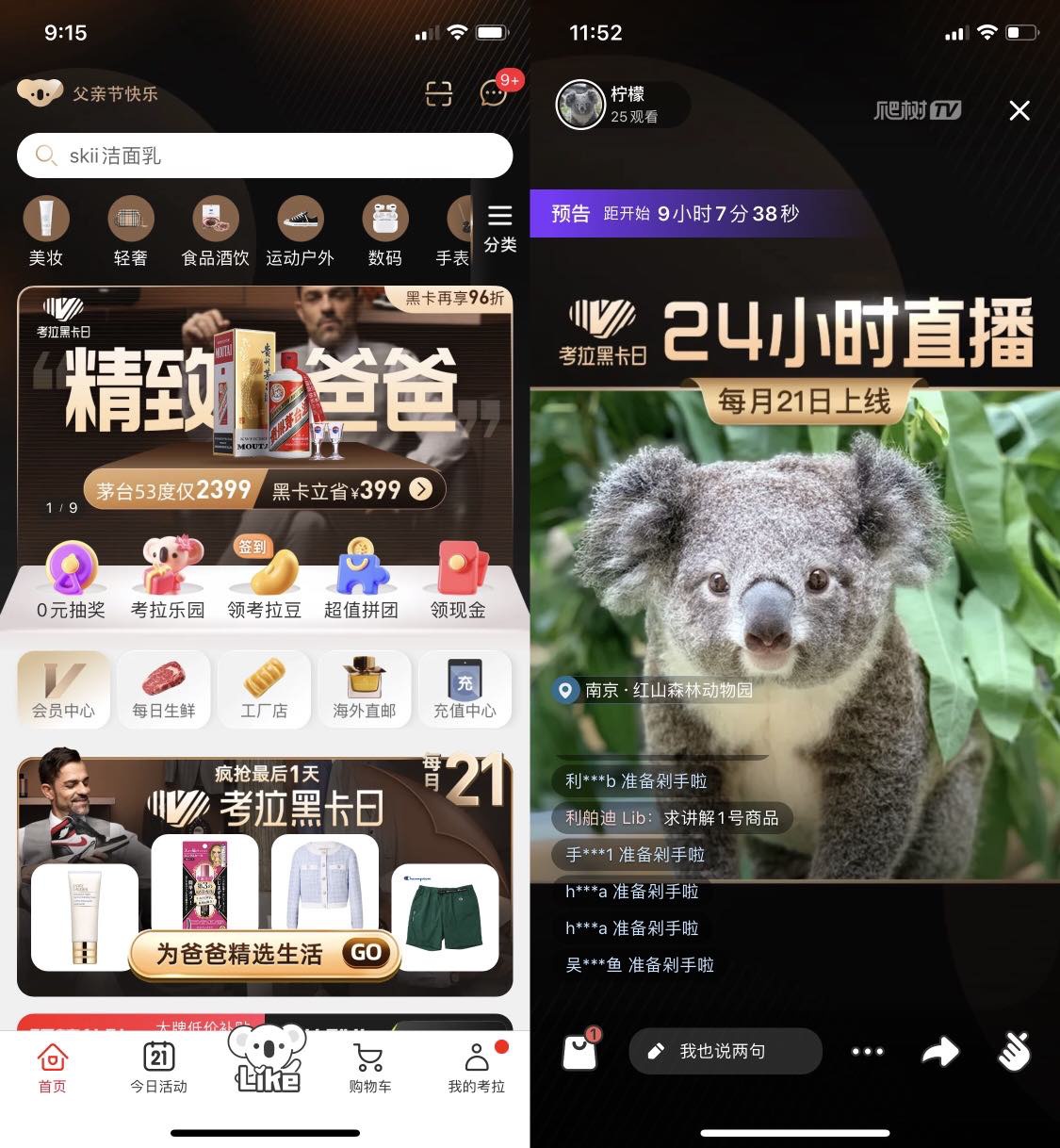 考拉云服务器(考拉云服务器安全吗)，考拉云服务器安全性解析及使用体验，考拉云服务器安全性解析与用户体验分享 第2张