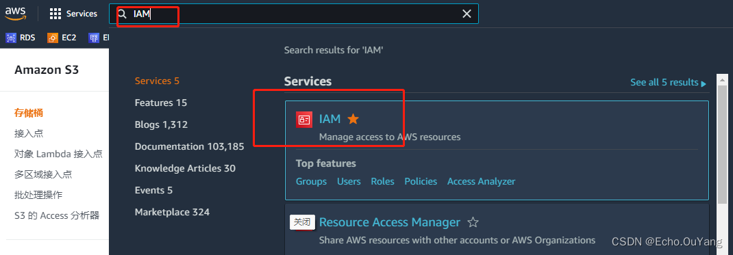 aws服务器域名(aws domain)，AWS服务器域名解析与管理指南 第2张