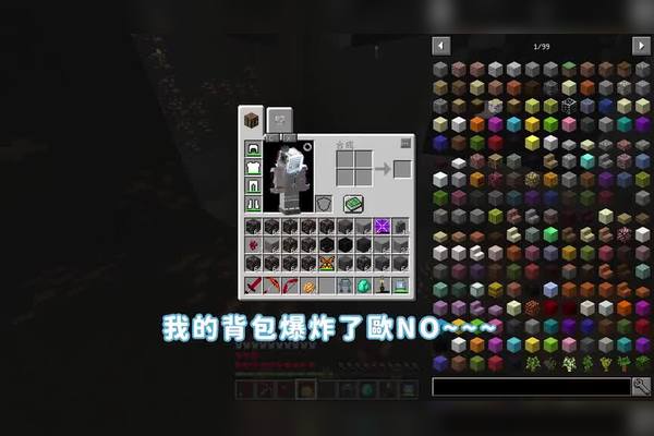 我的世界购买小行星服务器(我的世界购买小行星服务器怎么用)，我的世界购买小行星服务器指南及使用方法，我的世界购买小行星服务器指南及使用方法全解析