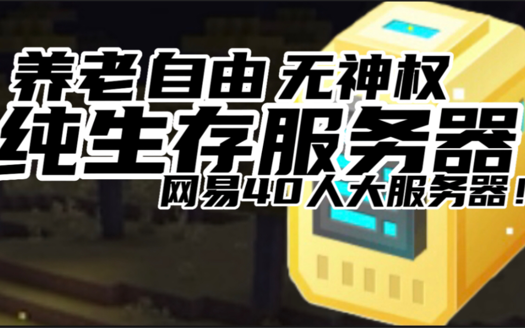 我的世界网易版租赁服务器规则变更(网易版我的世界租赁服怎么+mod手机)，网易版我的世界租赁服务器规则调整及手机加mod指南，网易版我的世界租赁服务器规则调整与手机加mod指南，网易版我的世界租赁服务器规则调整及手机加mod操作指南，网易版我的世界租赁服务器规则调整与手机加mod操作详解指南，网易版我的世界租赁服务器规则调整与手机加mod操作详解指南，网易版我的世界租赁服务器规则调整与手机加mod操作详解教程 第2张