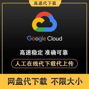 租国外服务器上谷歌(租国外服务器一个月多少钱)，租国外服务器上网谷歌，费用及选择解析，租国外服务器上网谷歌，费用、选择与解析，租国外服务器上网谷歌，费用、选择与解析全攻略