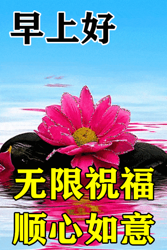 美云服务器动态(meizu云服务)，美云服务器动态，魅族云服务的发展与特点，美云服务器动态，魅族云服务的发展与特点解析，美云服务器动态及魅族云服务的发展与特点深度解析，美云服务器动态与魅族云服务发展特色深度解析，特点与发展趋势探讨，美云服务器动态与魅族云服务发展特色深度解析，发展趋势与特点探讨，美云服务器动态与魅族云服务发展特色深度解析，发展趋势与特点探讨