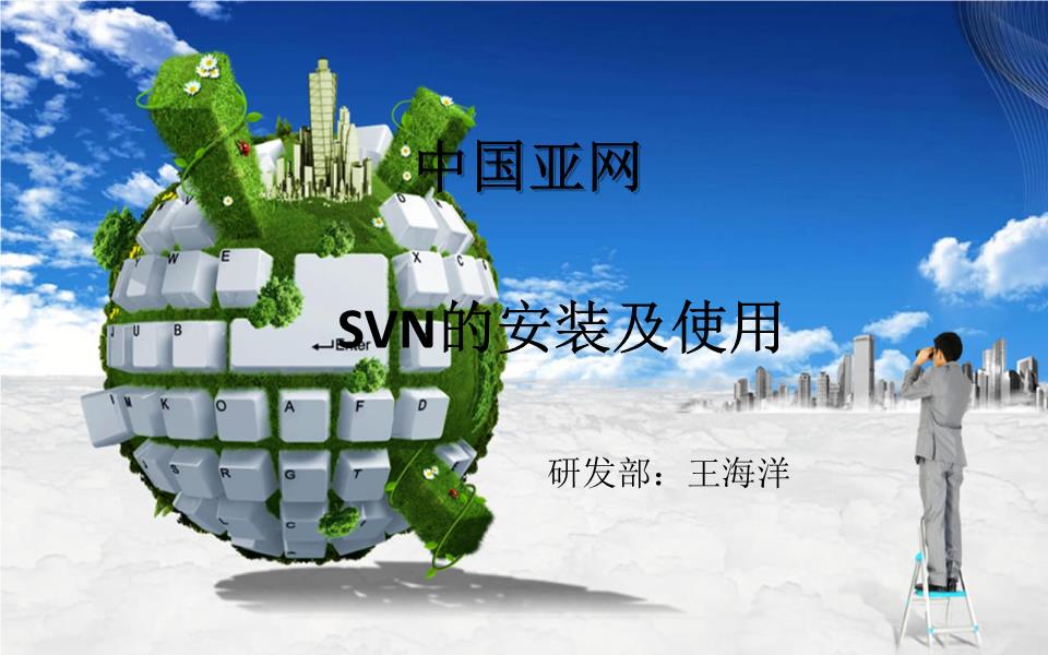 免费的svn服务器(svn服务器的设置流程)，免费SVN服务器搭建指南及设置流程，免费SVN服务器搭建指南，从设置流程到实战操作，免费SVN服务器搭建全程指南，从设置流程到实战操作 第2张