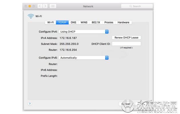 mac连接google云服务器地址(macbookpro 的谷歌为什么连不上网)，Mac连接Google云服务器问题及解决方案（无法连接谷歌网络的困扰） 第1张