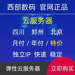 淘宝云服务器便宜还是贵的(云服务器挂淘宝店铺有影响吗)，淘宝云服务器价格解析，性价比考量与对淘宝店铺影响探讨
