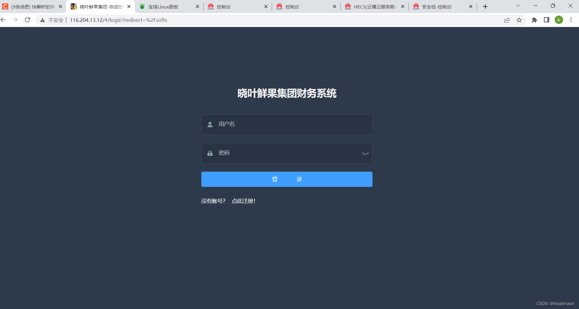华为云服务器镜像站(华为云服务器镜像有啥区别)，华为云服务器镜像站，特点与优势解析