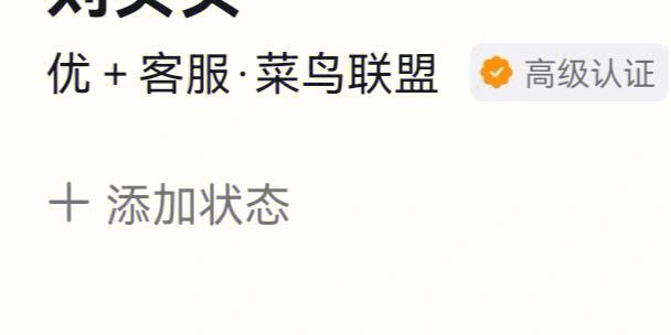 菜鸟优加云客服在电脑上怎么打开服务器(菜鸟优加云客服在电脑上怎么打开服务器端)，菜鸟优加云客服电脑端服务器打开指南，菜鸟优加云客服电脑端服务器打开指南，如何启动服务器端？，菜鸟优加云客服电脑端服务器启动指南，如何打开服务器端？，菜鸟优加云客服电脑端服务器启动指南，打开服务器端的步骤教程，菜鸟优加云客服电脑端服务器启动指南，打开服务器端的详细步骤教程，菜鸟优加云客服电脑端服务器启动详解，打开服务器端的步骤教程 第2张