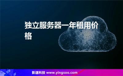 专业中文版服务器租用公司的简单介绍，专业中文版服务器租用公司概览