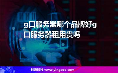 租g口服务器(国内租服务器价格)，租G口服务器，国内服务器价格一览，租G口服务器，国内服务器价格一览与选择指南