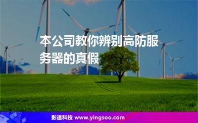 云服务器怎么辨别真伪(云服务器怎么辨别真伪查询)，如何辨别云服务器的真伪及查询方法，如何辨别云服务器真伪？查询方法及技巧解析，如何辨别云服务器真伪？详解查询方法及技巧解析