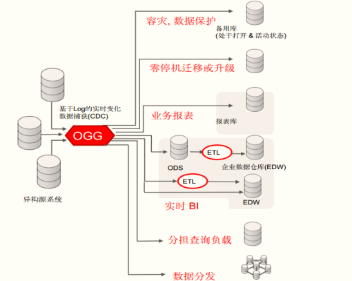 阿里云服务器支持oracle数据库(阿里云服务器支持oracle数据库吗)，阿里云服务器支持Oracle数据库吗？解析与指南 第2张
