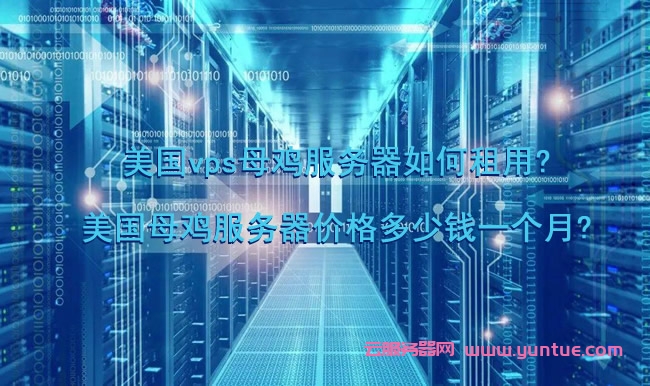 租一台顶级服务器多少钱(租一台服务器需要多少钱一个月)，顶级服务器租赁费用详解，每月需要多少？