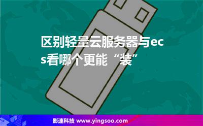 轻量云服务器有哪些缺点(轻量云服务器与共享型服务器)，轻量云服务器的缺点及与共享型服务器的比较探讨，轻量云服务器的缺点与共享型服务器对比探讨，深度解析轻量云服务器的局限与挑战