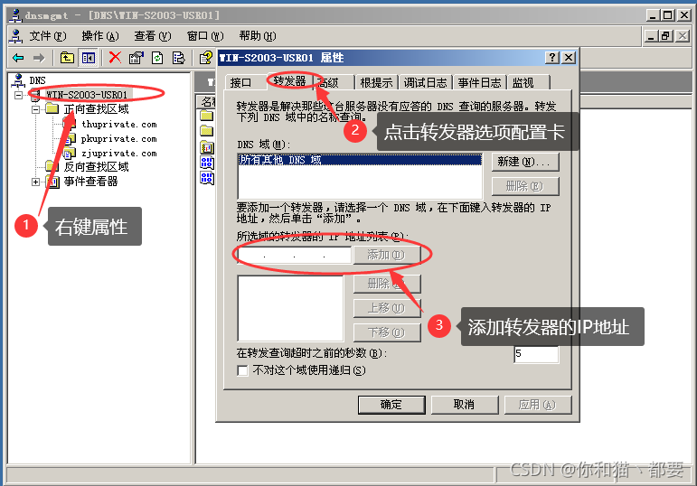 关于自己如何免费搭建服务器根域名的信息，免费搭建服务器根域名指南 第2张
