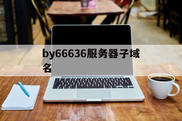 by66636服务器子域名(域名服务器ip地址的子网掩码)，子域名解析与服务器IP地址子网掩码详解，by6663 域名服务器解析指南