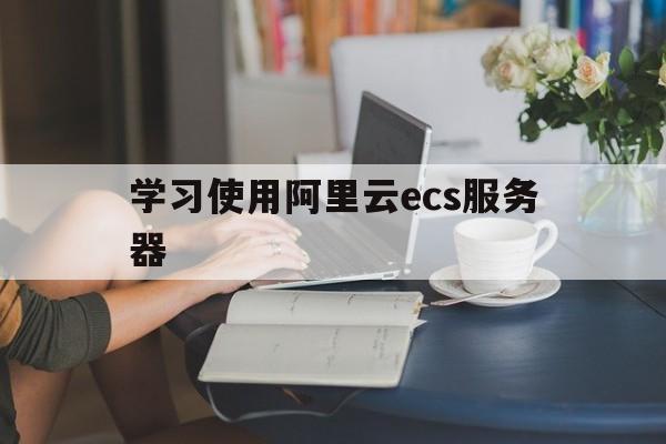 学习使用阿里云ecs服务器(阿里云服务器ecs是一种简单高效)，阿里云ECS服务器学习指南，掌握高效云服务器使用技巧