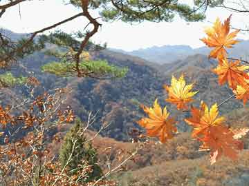 西安居民医保异地就医备案后怎么缴费流程（西安市异地就医备案如何办理）