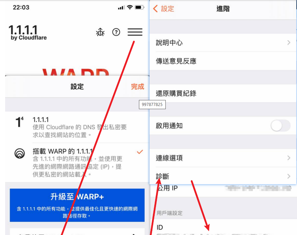 在Wgcf-WARP/WARP-Cli代理模式启用WARP+账户，附刷WARP+流量教程，Wgcf-WARP代理模式启用WARP+账户教程及流量使用指南 第4张
