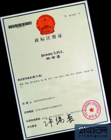 投资号码域名商标（投资号码域名商标注册），投资号码域名商标，注册策略与机遇探索，投资号码域名商标，注册策略、机遇探索与商标保护之路