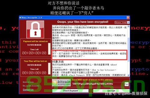 勒索者病毒域名名称（勒索病毒 域名），勒索者病毒域名解析及防范策略，勒索病毒域名解析与防范策略，解密勒索者病毒域名名称及解析技巧