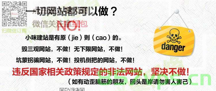 依靠域名模仿不能使网站经营成功（依靠域名模仿不能使网站经营成功对吗），域名模仿不足以确保网站经营成功，成功之道何在？