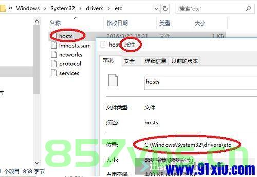 域名中没有文档信息（域名中没有文档信息怎么回事），域名无文档信息解析，原因与解决方案 第2张