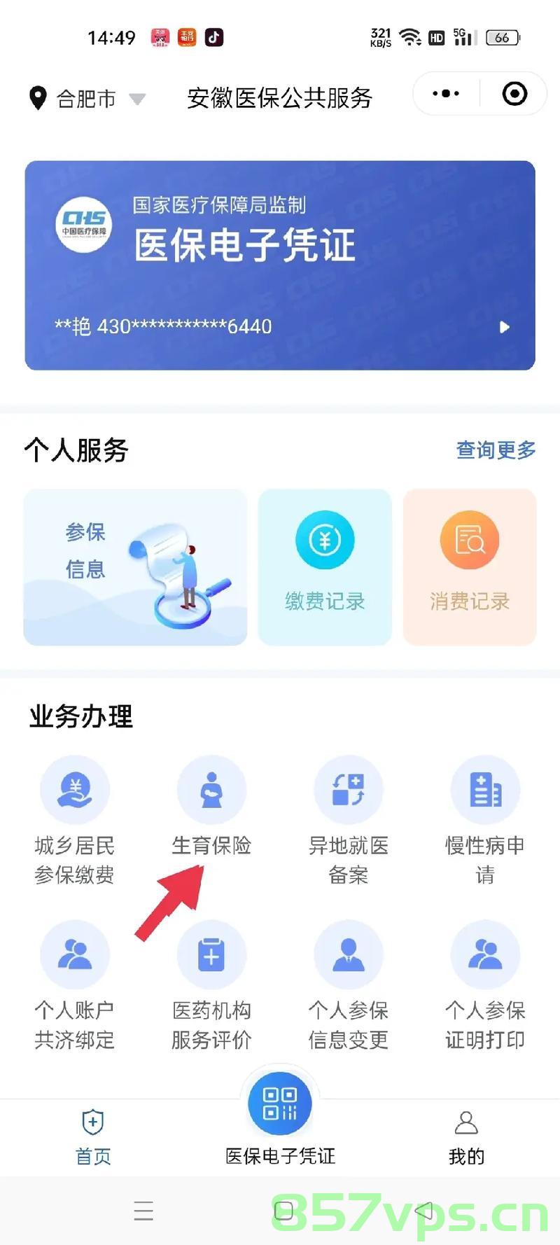 上海生育备案（上海生育备案网上可以备案吗）