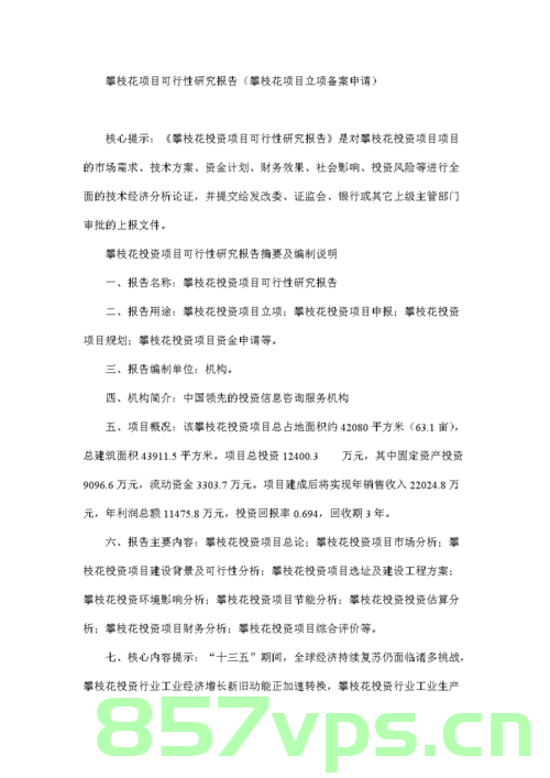 备案可行性研究报告格式及范文（备案可行性研究报告格式及范文大全），备案可行性研究报告格式详解及范文参考（大全）