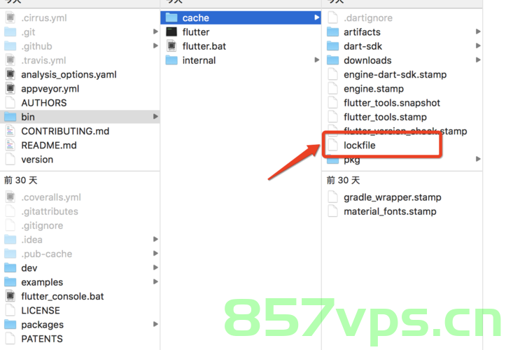 Flutter报错，Waiting for another flutter command to release the startup lock，Flutter启动锁问题，等待释放启动锁错误解决方案