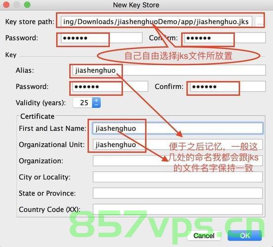 Android11.0 生成系统签名.jks文件并对Apk进行签名，Android 11.0系统签名生成及Apk签名教程，生成系统签名.jks文件实践指南，Android 11.0系统签名生成及Apk签名教程，生成.jks文件实践指南，Android 11.0系统签名生成及Apk签名教程，生成.jks文件的实践指南