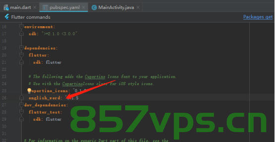 Flutter Got TLS error trying to find package xxx at https://pub.dev.，Flutter在尝试获取包xxx时遇到TLS错误，https://pub.dev上的解决方案
