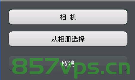 Android 使用 registerForActivityResult() 打开系统相册或相机获取图像，Android使用registerForActivityResult()获取图像，从系统相册或相机中选择图片，Android，使用registerForActivityResult()从相册或相机获取图片选择功能详解，Android使用registerForActivityResult()从相册或相机获取图片选择功能详解指南