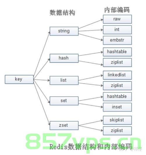 redis的基本知识点，Redis基础知识点概述