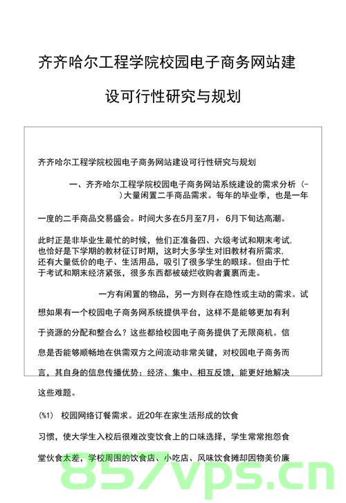 网站建设方式可行性分析（网站建设方式可行性分析怎么写），网站建设方式的可行性分析，方法与策略探讨