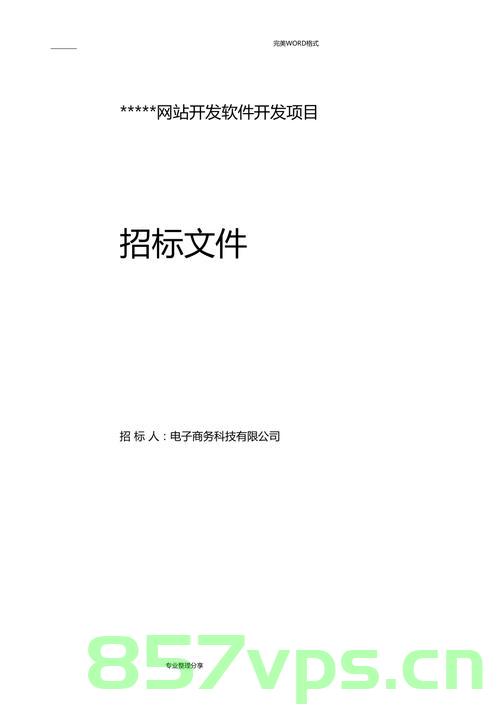 网站建设投标文档（网站建设投标文档怎么写），网站建设投标文档编写指南与范例，网站建设投标文档编写指南与范例，如何撰写高质量的投标文档，网站建设投标文档编写指南与范例，撰写高质量投标文档的技巧和要点