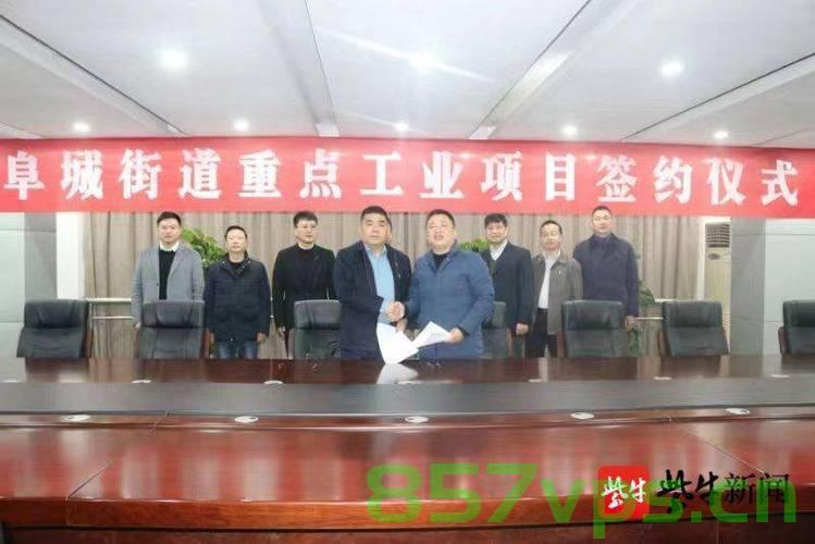 阜城县网站建设（阜城县网站建设项目招标），阜城县网站建设及项目招标启动