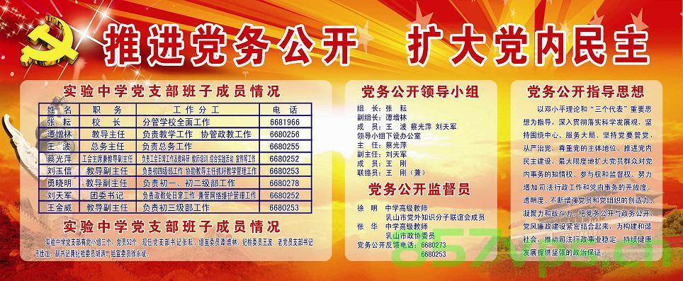 党务网站建设依据公开（党务网站建设依据公开执行情况），党务网站建设公开执行的依据与执行情况概述，党务网站建设依据公开的执行概况与成效概述