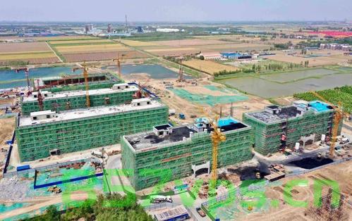 文安县网站建设（文安县网站建设公司），文安县网站建设及专业公司概览