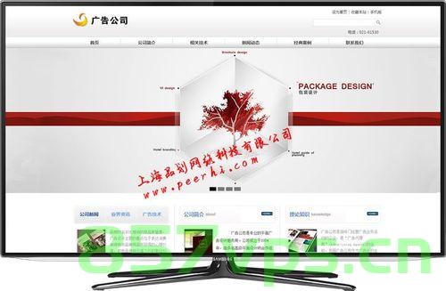 嘉定专业网站建设（上海嘉定区网站建设公司），嘉定专业网站建设公司，上海网站建设服务之选