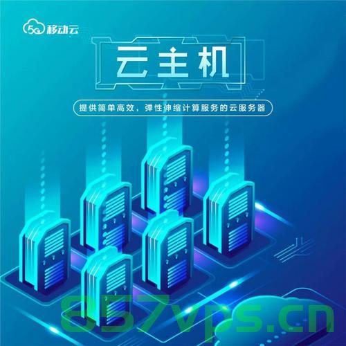 网云主机领先者（网络云主机），网络云主机的领先者，网云主机引领风潮