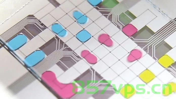 面经-2023-哲库Zeku-数字芯片设计，哲库数字芯片设计面试经验分享，2023年面经总结