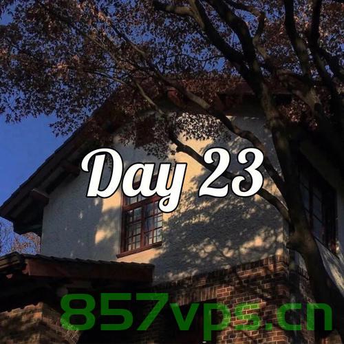 Day23.，Day 23，探索未知之旅