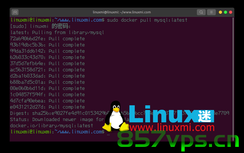 使用Docker容器运行Mysql，Docker容器运行Mysql的实践指南，Docker容器运行Mysql的实践指南，从入门到精通，Docker容器运行MySQL，从入门到精通的实践指南