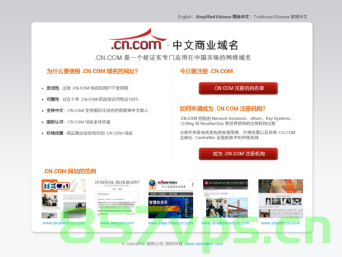 中国知名网站域名（中国知名网站域名是什么），中国知名网站的域名解析，探索顶级域名的奥秘，探索中国知名网站的顶级域名奥秘及其域名解析过程，探索中国知名网站的顶级域名奥秘与解析过程，域名解析深度解析文章标题，中国知名网站顶级域名解析深度解析，探索域名奥秘与解析过程